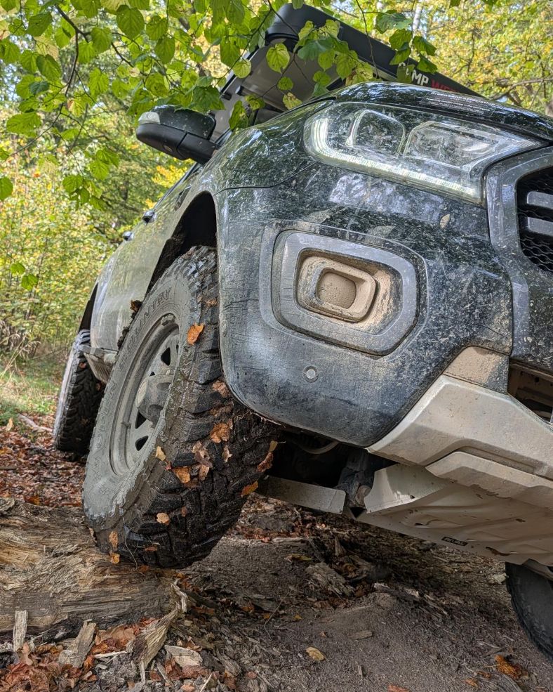 Ford Ranger unter tief hängenden Ästen auf einem engen Waldweg mit Laub und Totholz