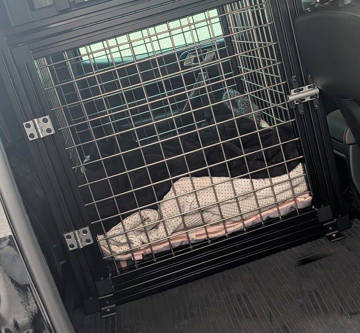 Eingebaute Hundebox mit Schweißgitter auf der Bodenplatte im Ford Ranger