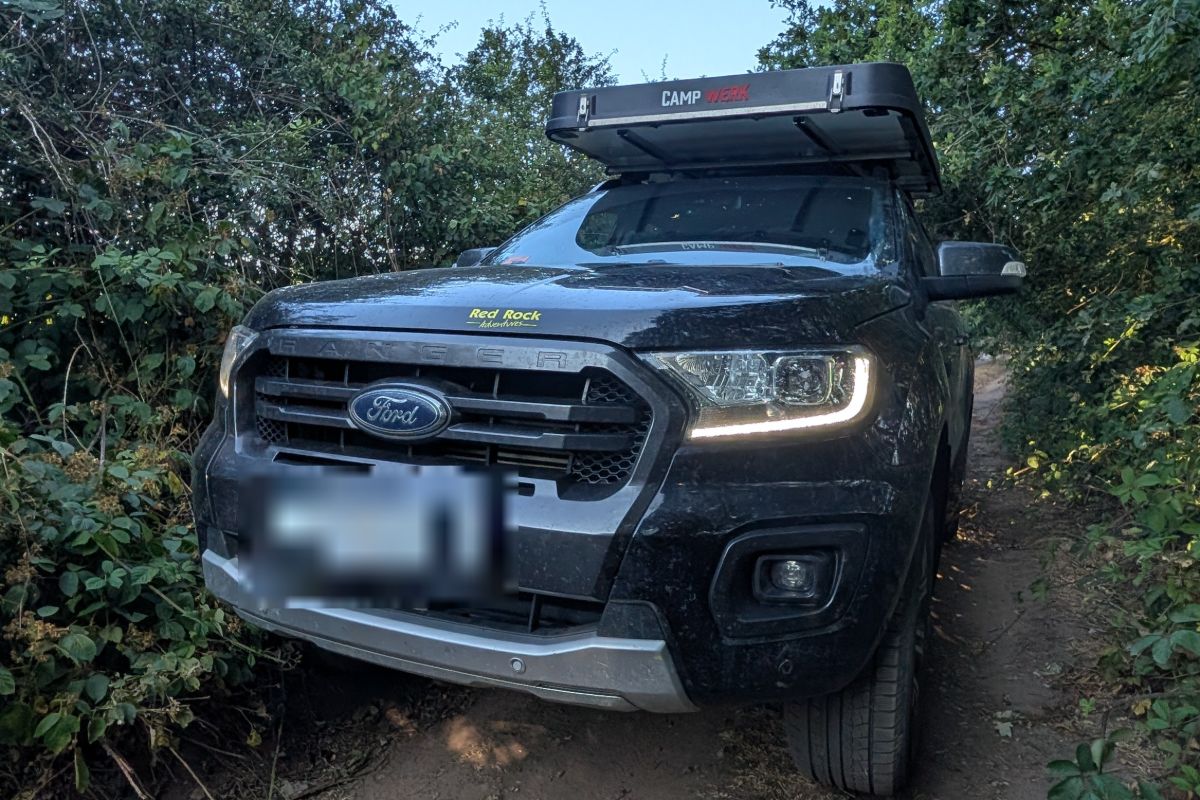 Ford Ranger auf einer schmalen, zugewachsenen Offroad-Strecke während einer Tour mit Hunden